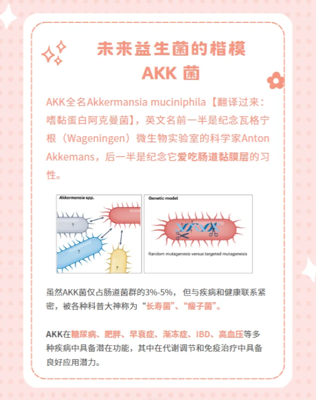  AKK菌：肠道里的“全能守护者”？进口保健品代工厂为您解惑
