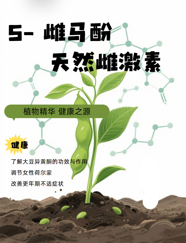 S-雌马酚：如何从肠道到细胞，精准应对 女性更年期健康？进口保健品代工厂为你解答