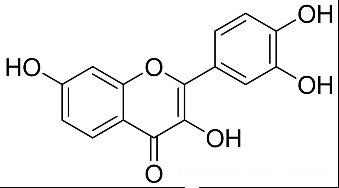 天然 抗衰成分“非瑟酮”：缓解基孔肯雅病毒感染的新希望？香港保健品代工厂为您解析